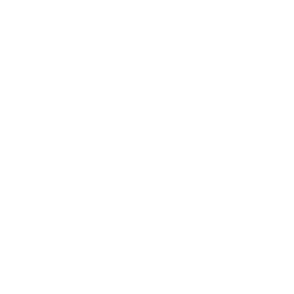 lsh_logo lsh_logo