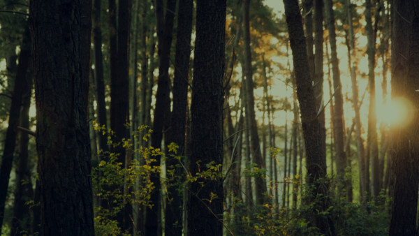 biocen-header-2
